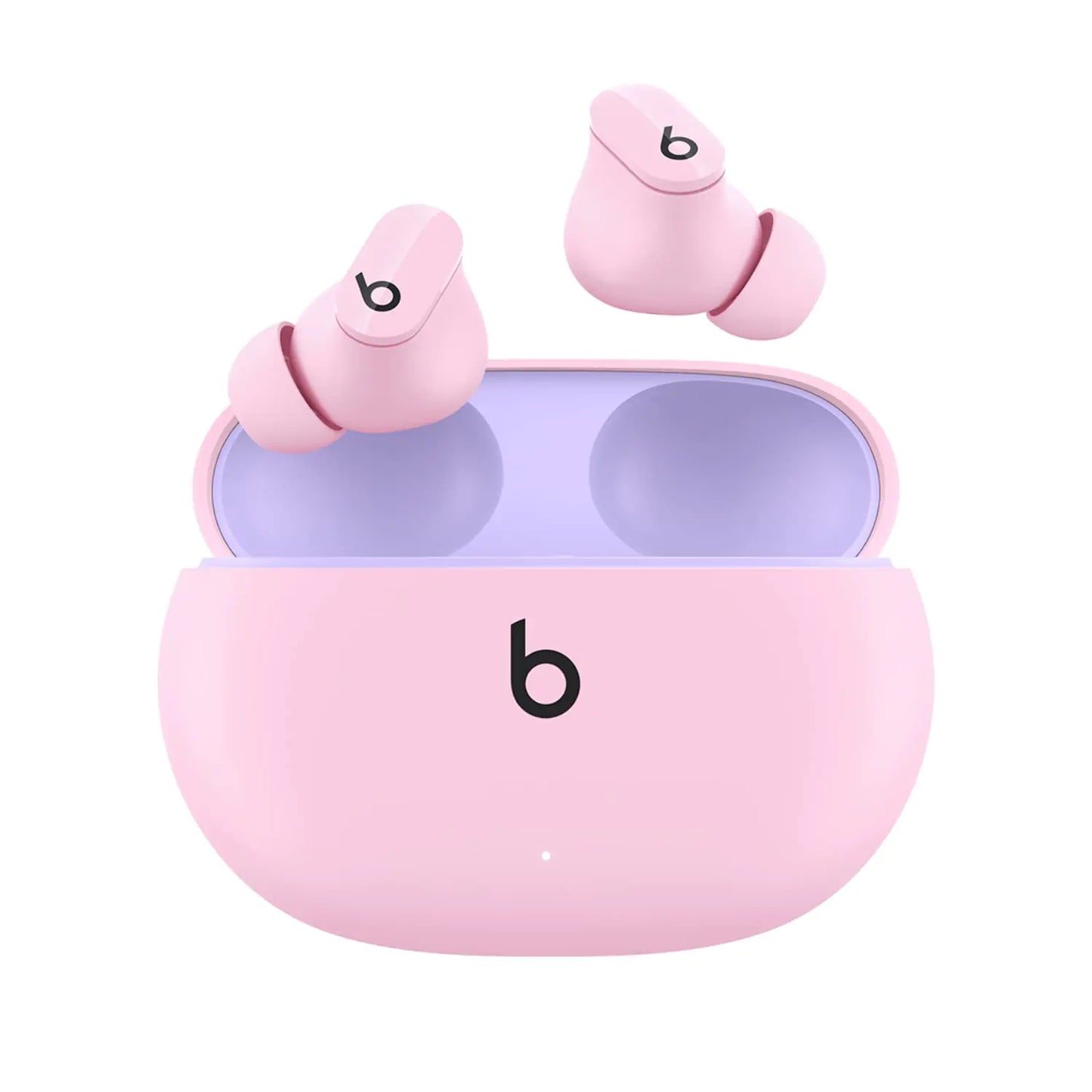 True Wireless Noise Cancelling Earbuds - Variety Products Market