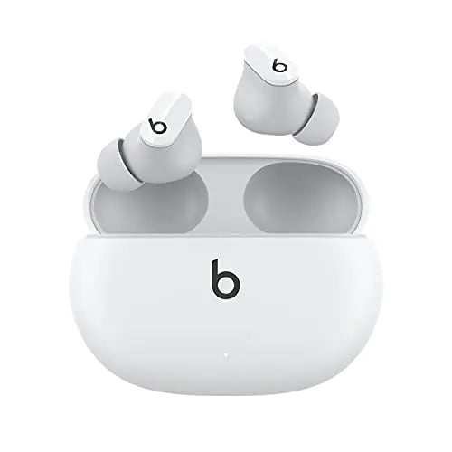True Wireless Noise Cancelling Earbuds - Variety Products Market