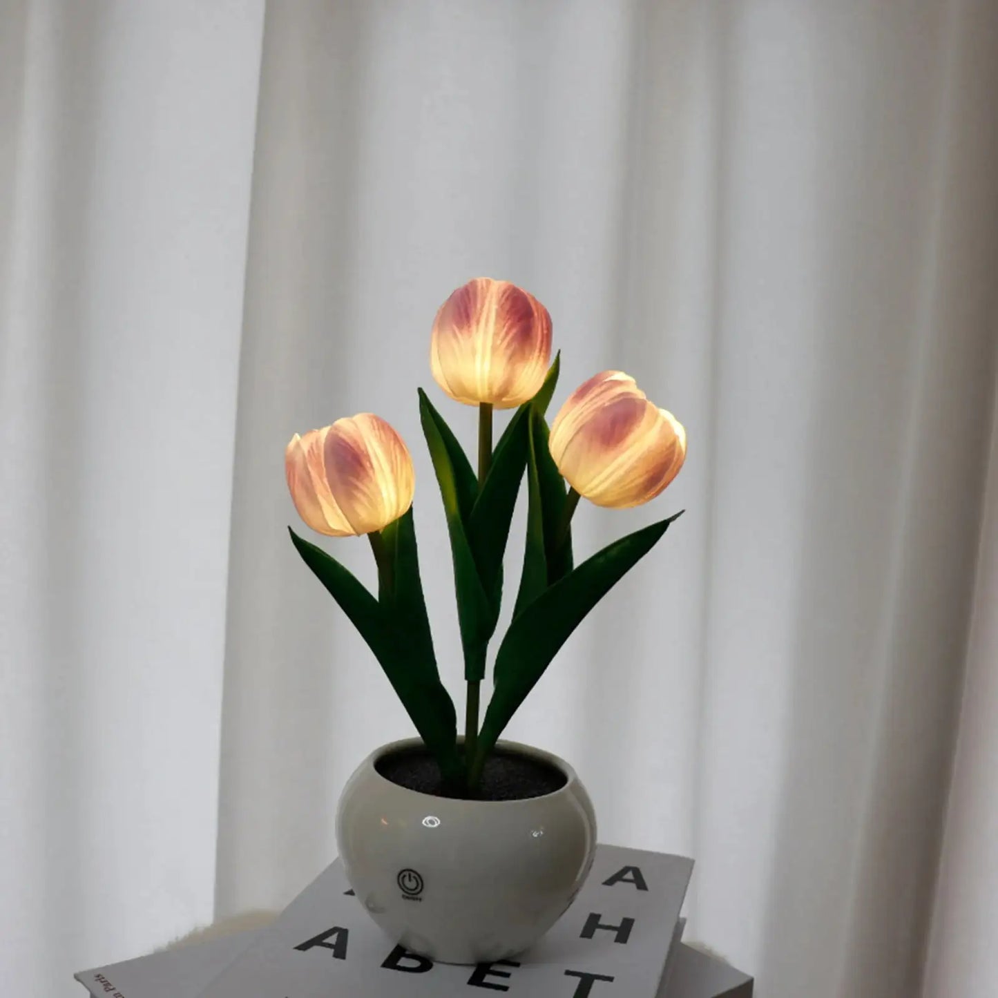 Enchanted Tulip Glow - Variety Products Market