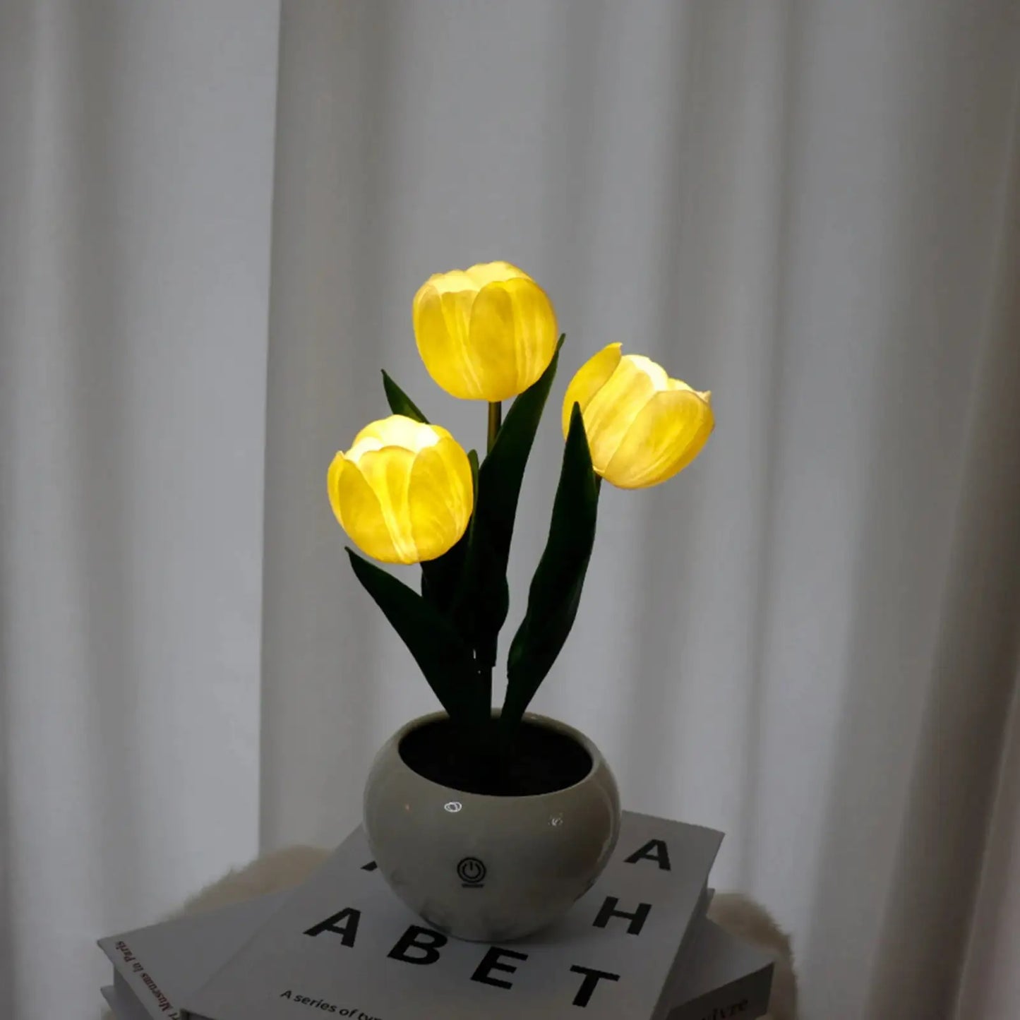 Enchanted Tulip Glow - Variety Products Market